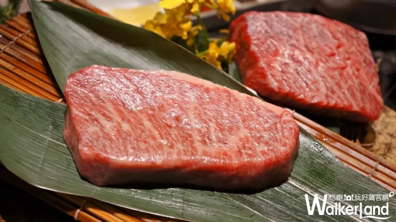 老乾杯  / WalkerLand窩客島提供