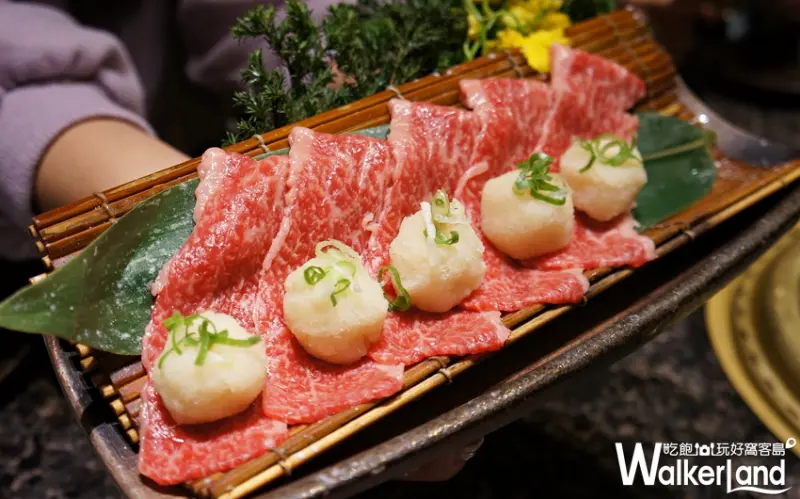 老乾杯  / WalkerLand窩客島提供