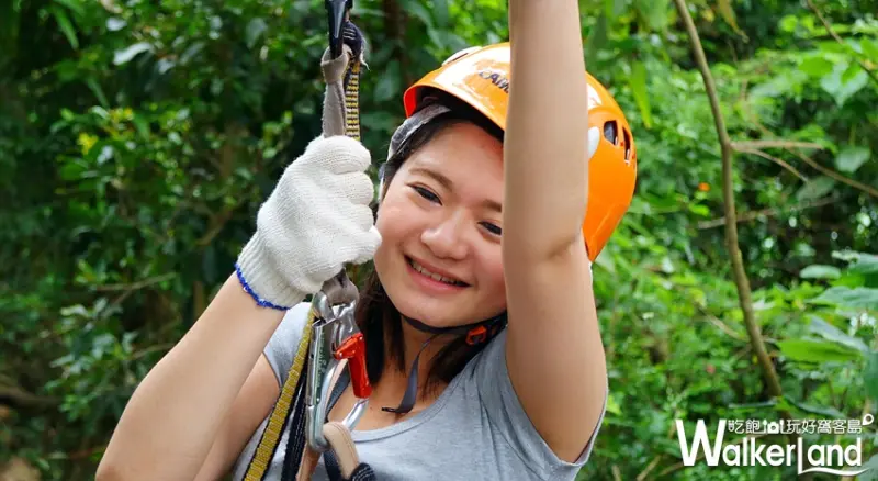 野猴子探險森林