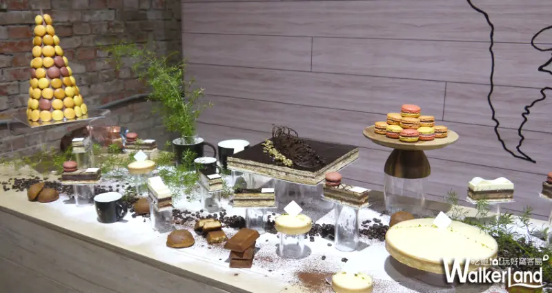 一天至少喝30杯咖啡！統一星巴克、青木定治合作，13款限定糕點出爐