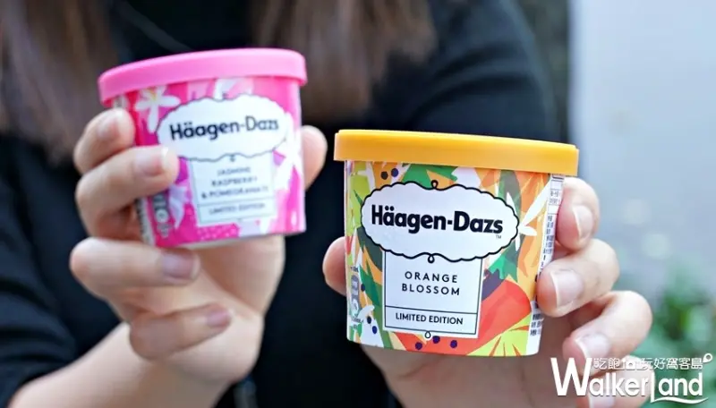 Häagen-Dazs / WalkerLand窩客島提供