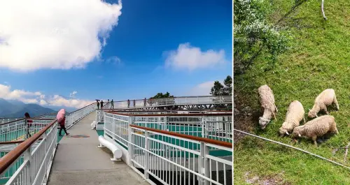 [ 南投⊙仁愛]清境農場。清境天空步道。今天休假就到清境玩得過癮吧~~