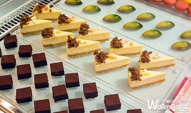 美麗信雨林餐廳 / WalkerLand窩客島整理提供 未經許可不可轉載