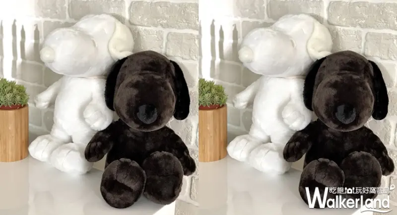 史努比 / WalkerLand窩客島提供