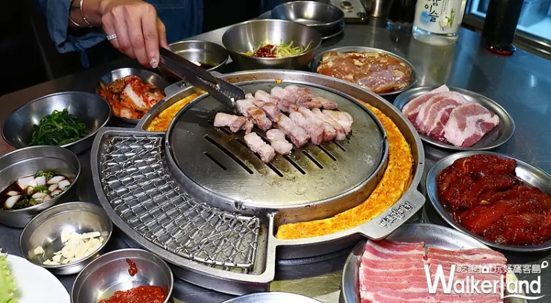 新麻蒲海鷗 / WalkerLand窩客島整理提供