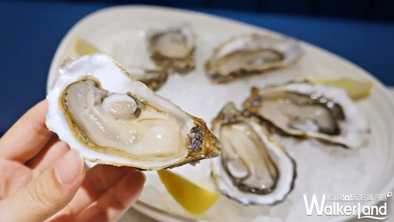酒窖生蠔吧  / WalkerLand窩客島提供
