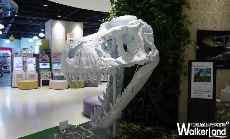 「DINO LINK 恐龍玩樂地」主題展覽 / WalkerLand窩客島提供