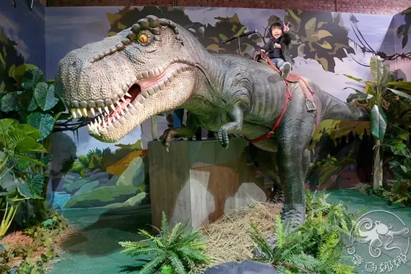 窩客 章魚娜娜 提供