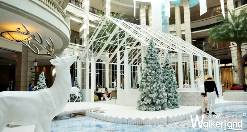 BELLAVITA / WalkerLand窩客島提供