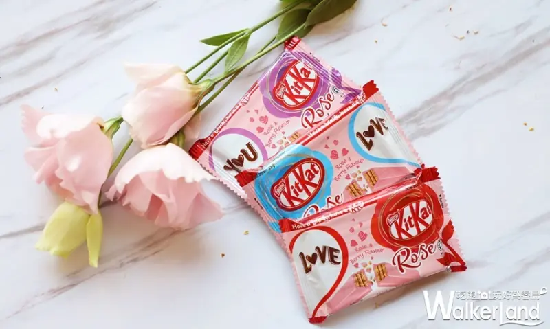 雀巢情人節限定「KitKat玫瑰巧克力」 / WalkerLand窩客島整理提供
