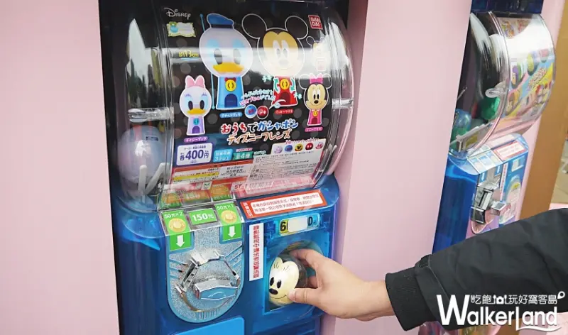 Miravivi的夢幻公主世界 / Walkerland窩客島提供