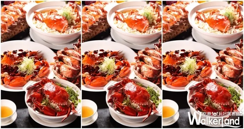 吃螃蟹沒有再客氣的！台北晶華酒店強勢推出「秋蟹饗宴」，集結旗下餐廳打造出秋季必吃秋蟹料理。