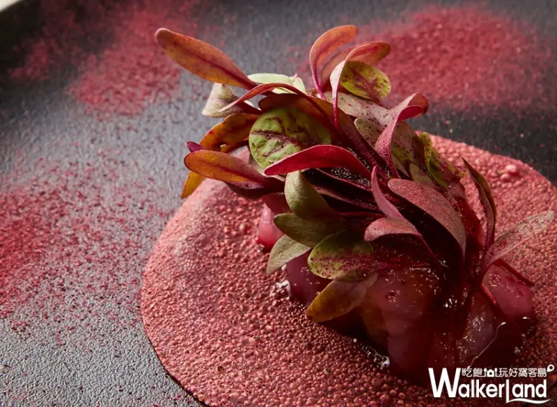 TABLE by Yoji Tokuyoshi / WalkerLand窩客島提供