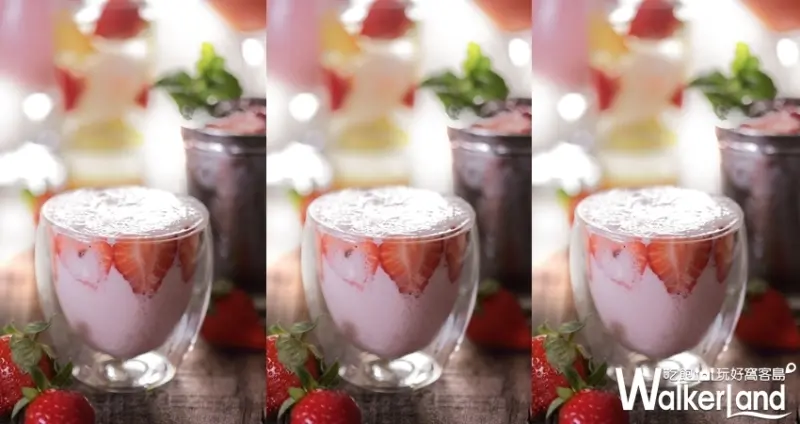 晶華酒店 / WalkerLand窩客島整理提供