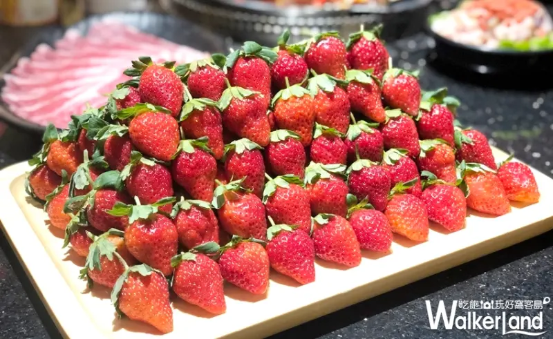 台北吃到飽火鍋「馬辣頂級麻辣鴛鴦火鍋」 / WalkerLand窩客島提供