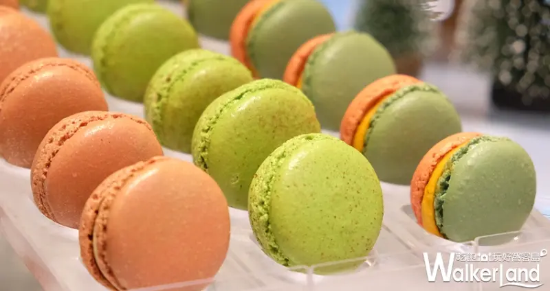 Diva Life巧克力 / WalkerLand窩客島提供