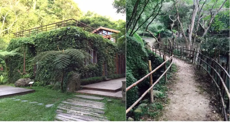 苗栗｜三義慢旅 × 山那邊・綠葉方舟，在山谷卸下船錨， 為我們的心之所向敲響幸福的鐘