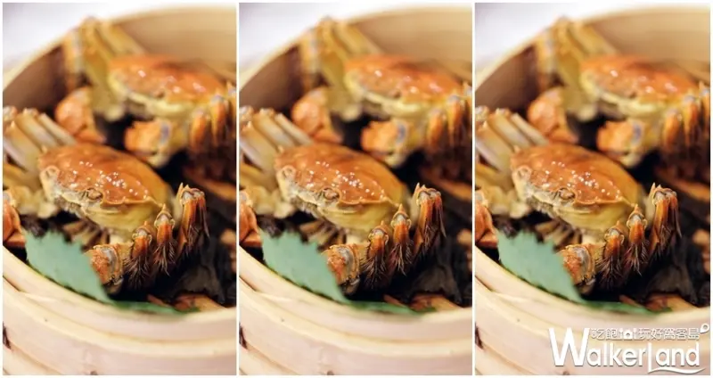 天成飯店集團 / WalkerLand窩客島整理提供