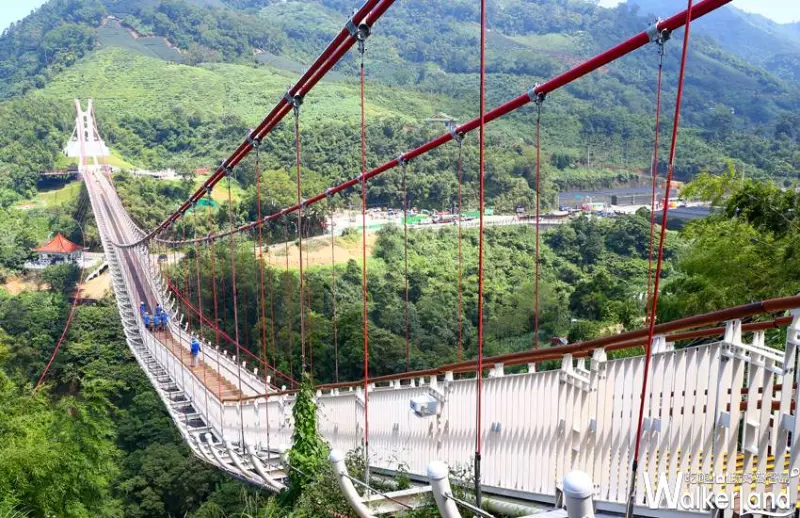 太平雲梯 / WalkerLand窩客島提供
