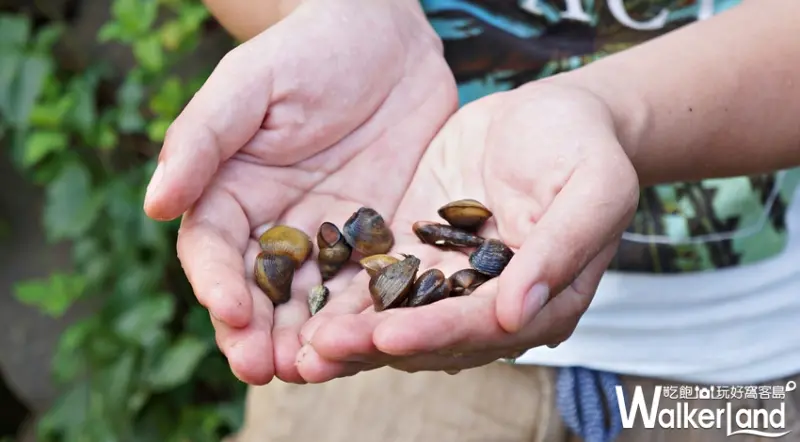  華泰瑞苑墾丁賓館 / WalkerLand窩客島提供