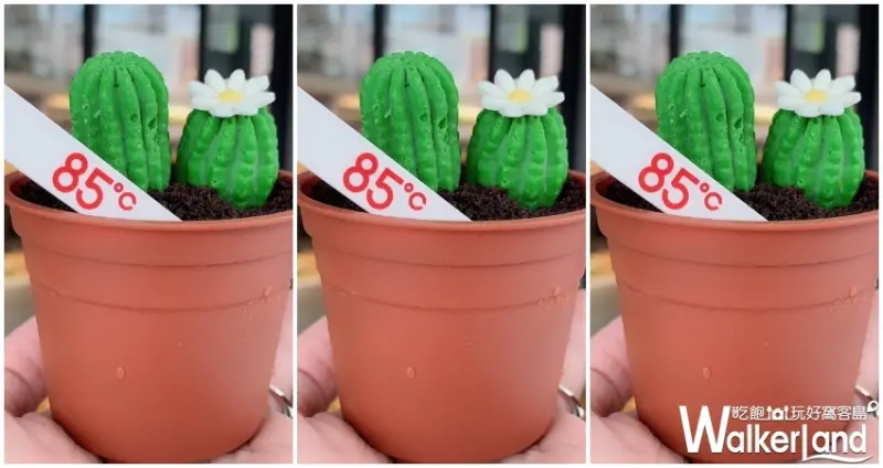 85˚C / WalkerLand窩客島提供