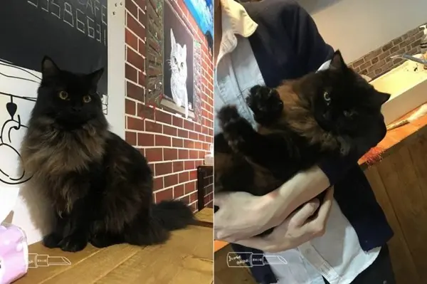  Fumi福咪手作烘焙咖啡  竹北  / WalkerLand窩客島提供