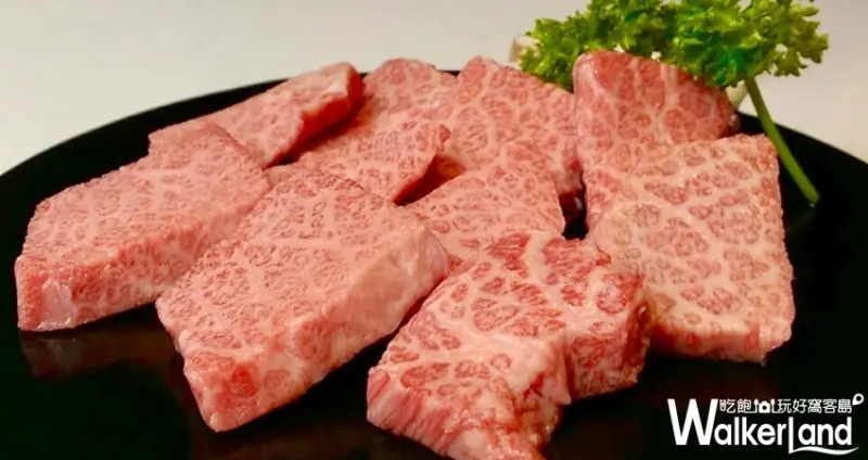 楓樹韓國烤肉