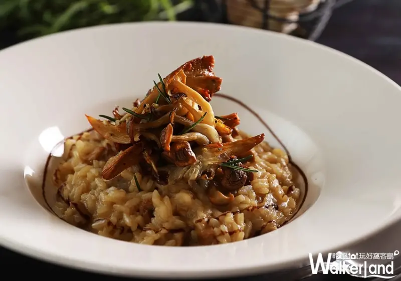 COVA / WalkerLand窩客島整理提供