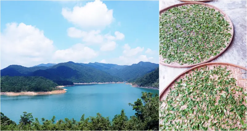 玩翻石碇就靠這一份探尋地圖！連石碇人都大推、玩好蓋滿10個點還能抽扭蛋驚喜喔！