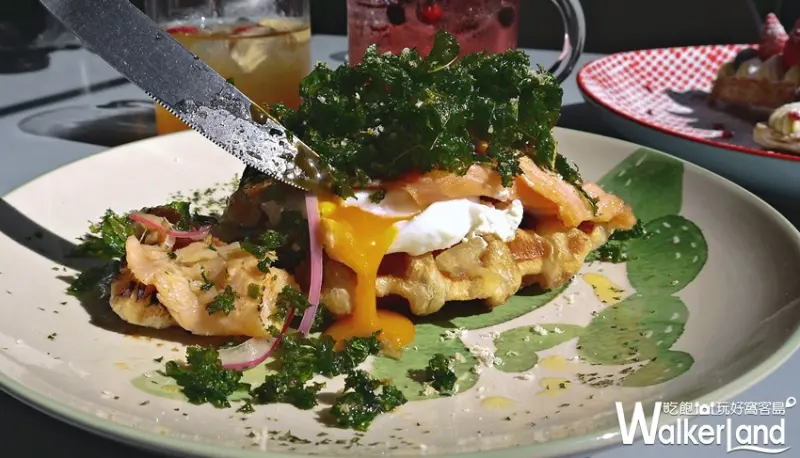 P＆T柏林茶館 / WalkerLand窩客島提供