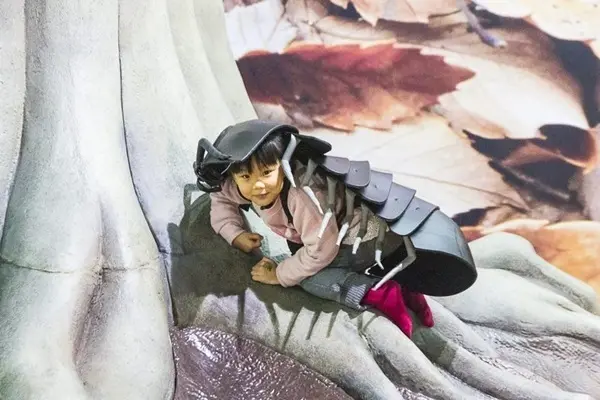 窩客 史努比 提供