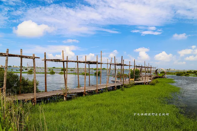 雲林景點「成龍溼地」/ 窩客 57魔法Ling 提供