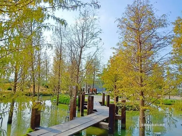 雲林景點「澄霖沉香味道森林館」/ 窩客 愛莉  提供