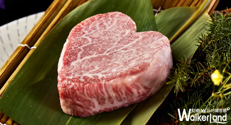 乾杯 / WalkerLand窩客島提供