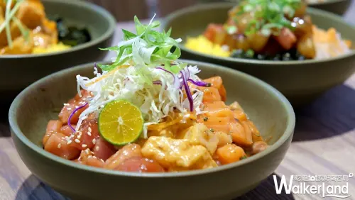 海鮮控一吃就上癮！超霸氣夏威夷生魚片「Pokeholic波奇哈客」插旗東區，顛覆海鮮控的想像。