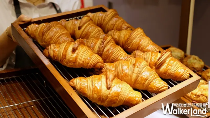 Gontran Cherrier SOGO百貨 復興館快閃店 / WalkerLand窩客島提供