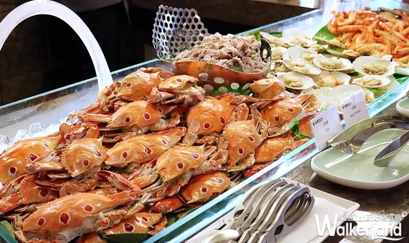 台北新板希爾頓酒店 / WalkerLand窩客島整理提供