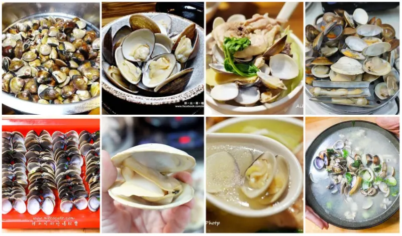 台北超高CP值「浮誇系蛤蜊」/ WalkerLand窩客島提供