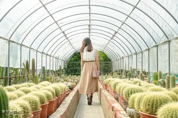 旅遊窩客 旅行‧履行中 提供 / 農村仙人掌園