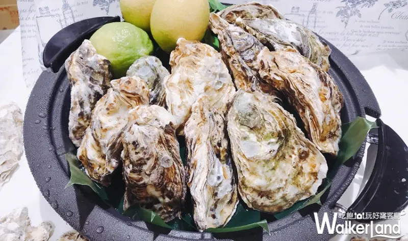 漢神巨蛋 日本物產展/ WalkerLand窩客島提供