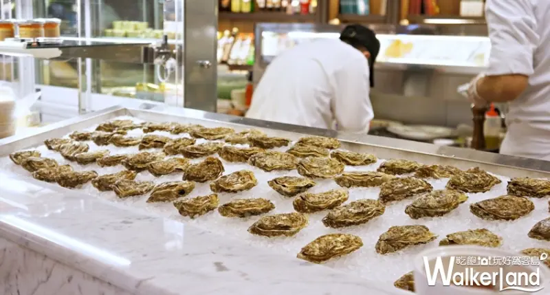 酒窖生蠔吧  / WalkerLand窩客島提供