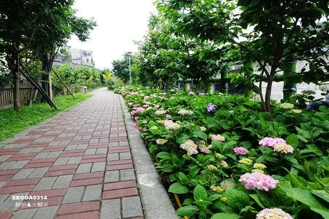 窩客 靜怡 推薦 黎明步道花園 