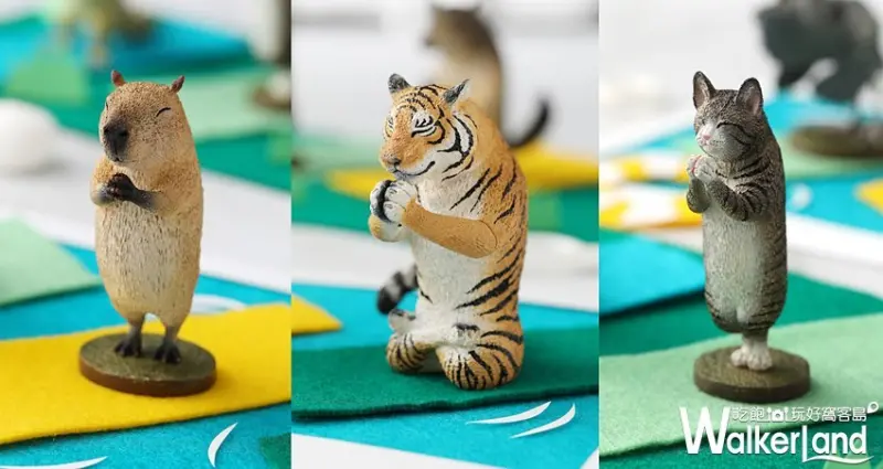 Animal Life祈 / WalkerLand窩客島提供