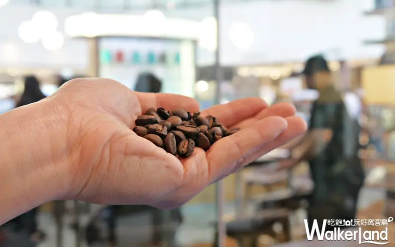 UCC波旁尖身 / WalkerLand窩客島提供