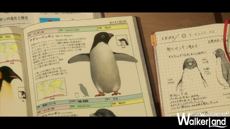 企鵝公路 / WalkerLand窩客島提供