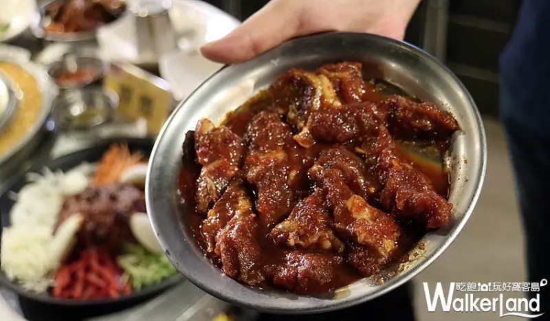 新麻蒲海鷗 / WalkerLand窩客島提供