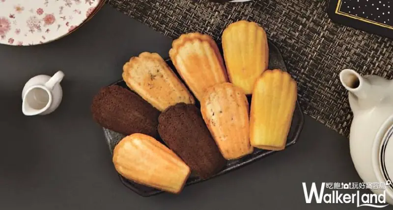 PAUL  / WalkerLand窩客島提供