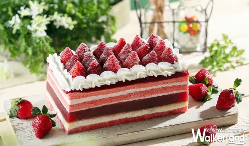 50樓Café/ WalkerLand窩客島整理提供