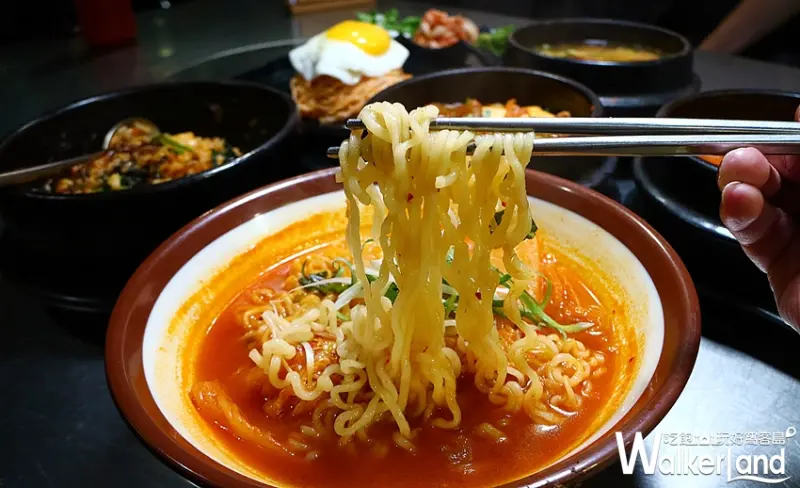 新麻蒲海鷗 / WalkerLand窩客島整理提供