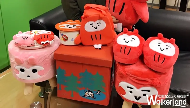 短耳貓頭鷹 / WalkerLand窩客島提供